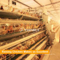 A Frame Hot Dipped Galvanized Poultry Equipment For Layers